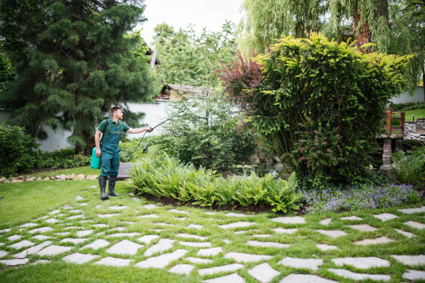 Best Local Pest Control Services  in Cross Plains, WI