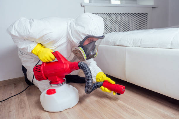 Reliable Cross Plains, WI Pest Control Solutions