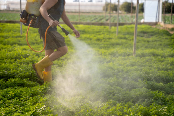 Best Ant Control Services  in Cross Plains, WI