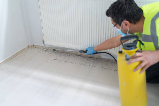 Best Affordable Pest Control Services  in Cross Plains, WI