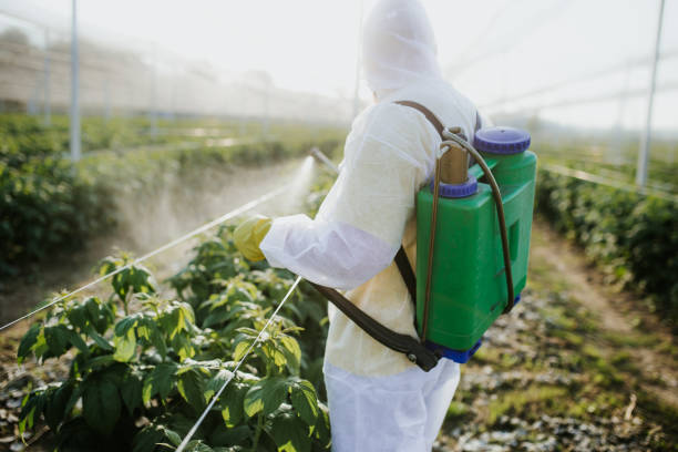 Wasp Removal Services in Cross Plains, WI